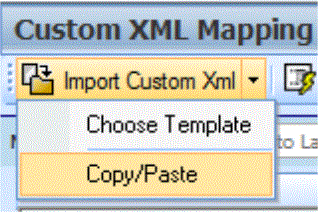 Custom XML Mapping Import Custom Using Copy Paste